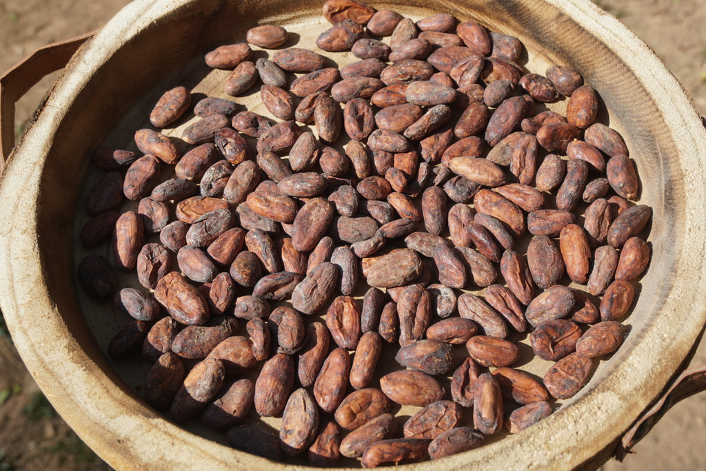 Cacao Beans