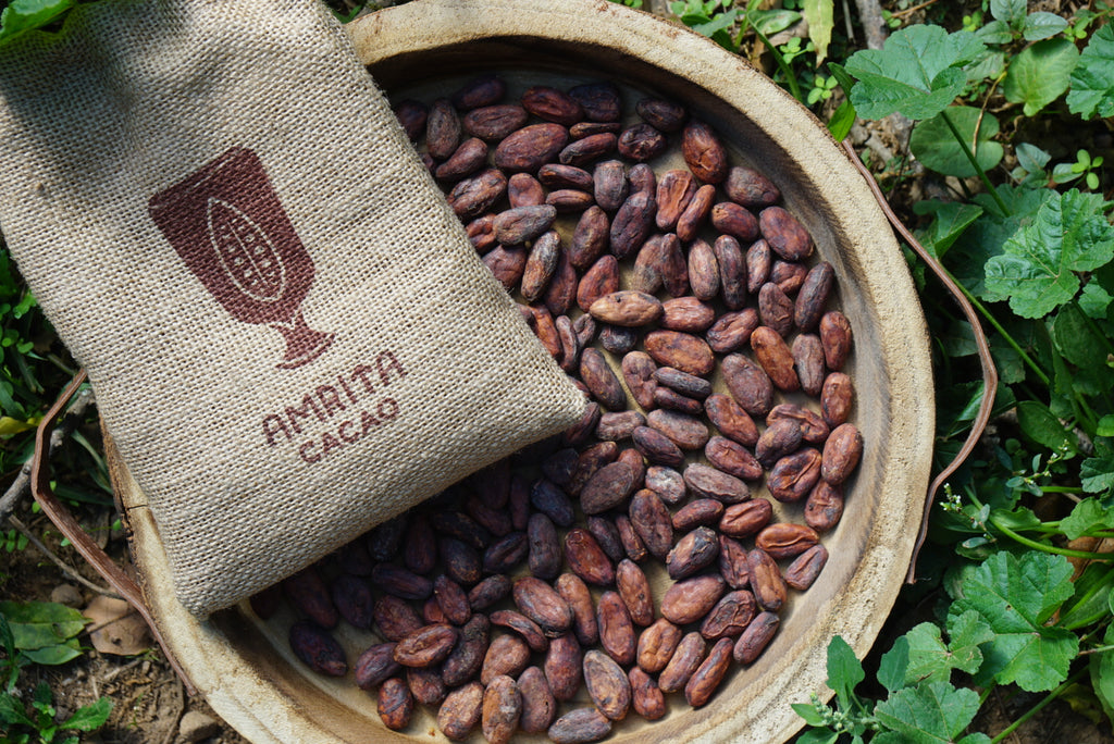 Cacao Beans