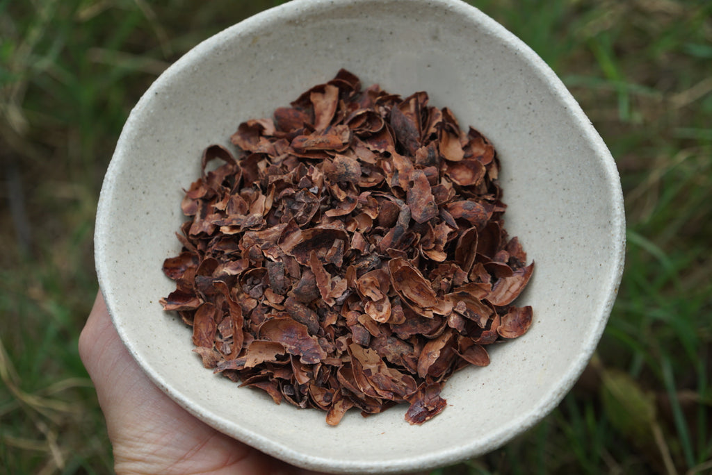 Cacao Tea